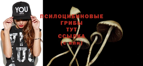 винт Горно-Алтайск