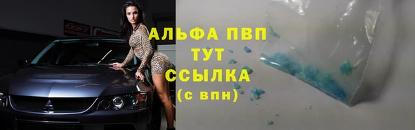 винт Горно-Алтайск