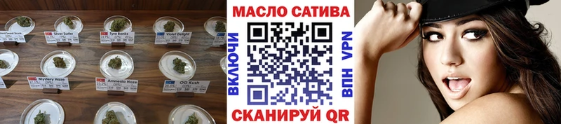 ТГК гашишное масло  Купить где  Камызяк 