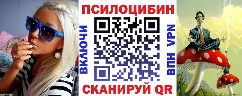 Купить закладки  Камызяк  Галлюциногенные грибы Psilocybine cubensis 