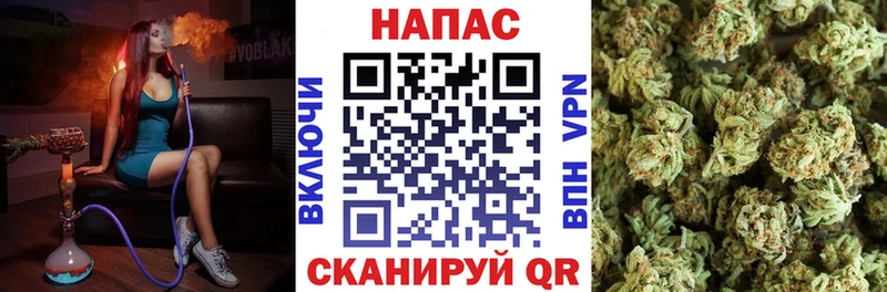 Купить закладки  Камызяк  Марихуана семена 